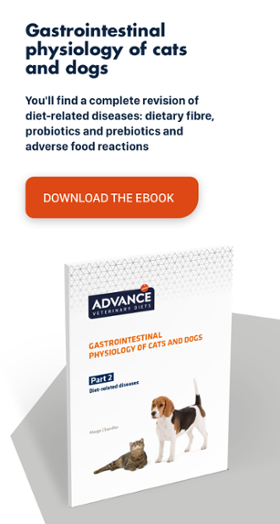 Aaha diabetes management guidelines best sale for dogs and cats