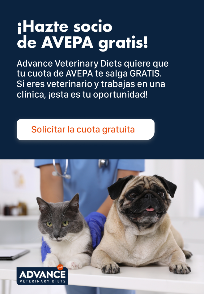 mi perro puede morir de ictericia